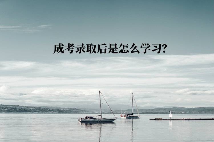 成考錄取后是怎么學(xué)習(xí)？