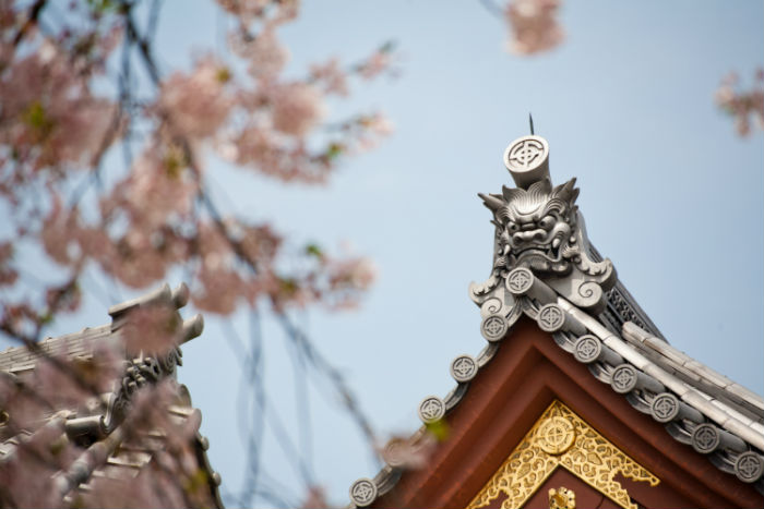 平頂山提升學歷方式哪種好？學歷提升招生學校有多少？