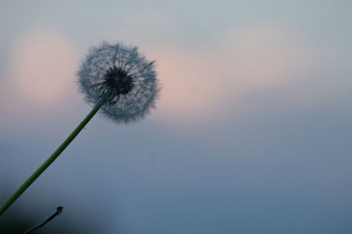 在嘉興專升本什么時(shí)候能報(bào)名和在哪兒報(bào)名比較靠譜？