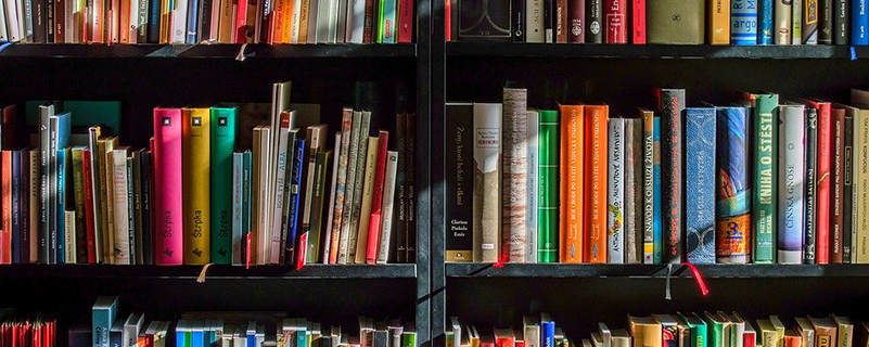 保定職業(yè)技術(shù)學(xué)院阜平校區(qū)是公辦學(xué)校嗎？