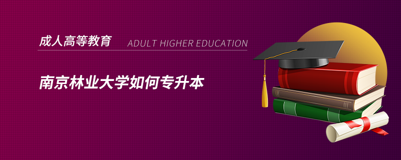 南京林業(yè)大學(xué)如何專升本