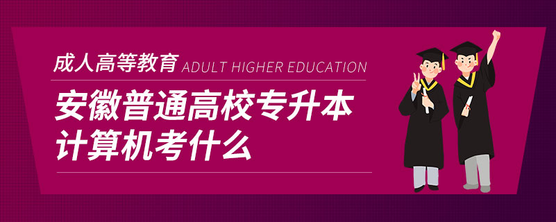 安徽普通高校專升本計算機考什么