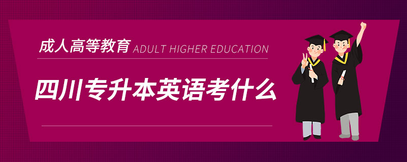 四川專升本英語考什么