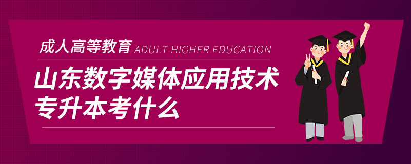 山東數字媒體應用技術專升本考什么