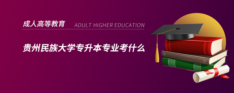 貴州民族大學(xué)專升本專業(yè)考什么