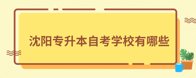 沈陽(yáng)專升本自考學(xué)校有哪些