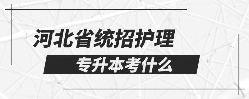 河北省統(tǒng)招護理專升本考什么