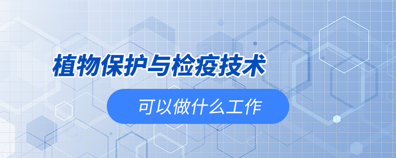 植物保護與檢疫技術(shù)可以做什么工作