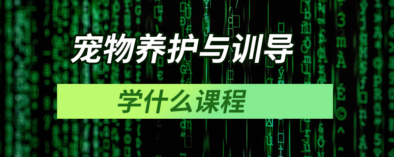 寵物養(yǎng)護與訓(xùn)導(dǎo)學(xué)什么課程