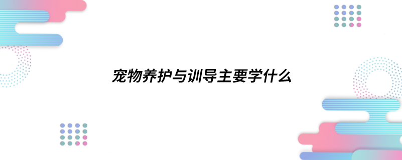 寵物養(yǎng)護與訓(xùn)導(dǎo)主要學(xué)什么