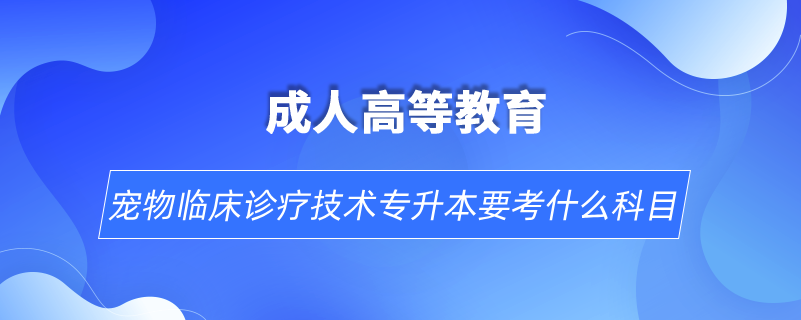 寵物臨床診療技術(shù)專(zhuān)升本要考什么科目