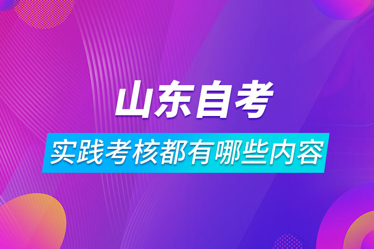 山東自考實(shí)踐考核都有哪些內(nèi)容