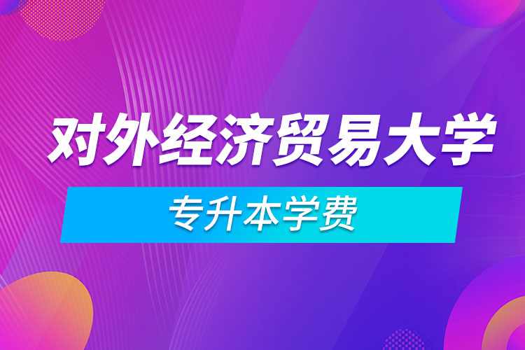 對外經(jīng)濟貿易大學專升本學費