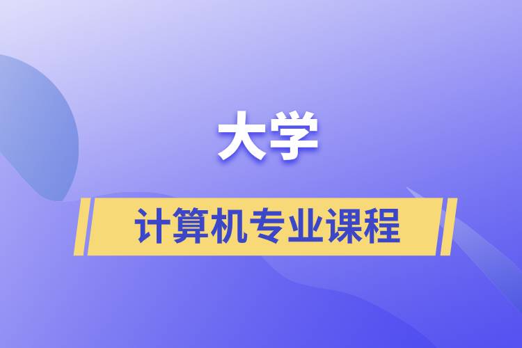 大學(xué)計(jì)算機(jī)專業(yè)課程