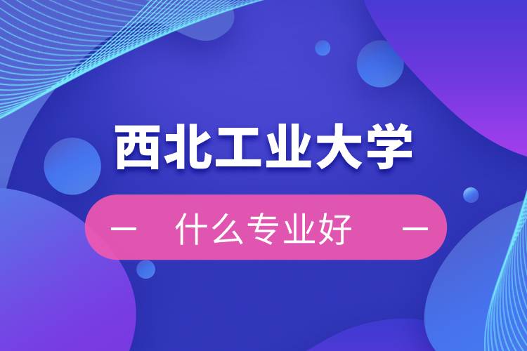 西北工業(yè)大學網(wǎng)絡(luò)教育什么專業(yè)好