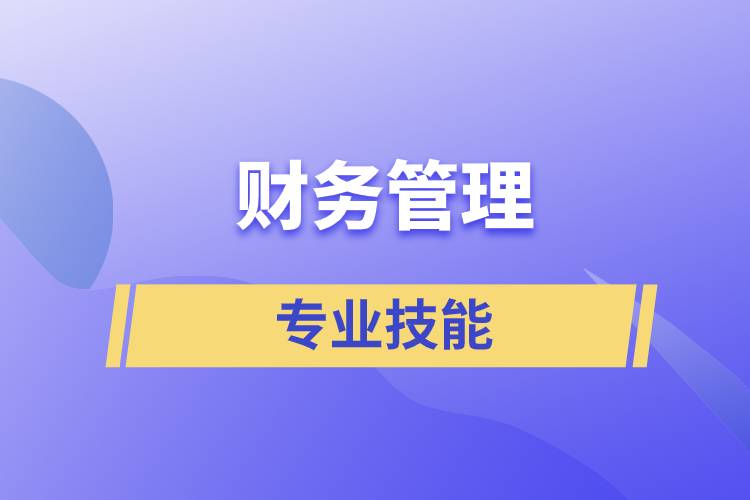 財(cái)務(wù)管理的專業(yè)技能