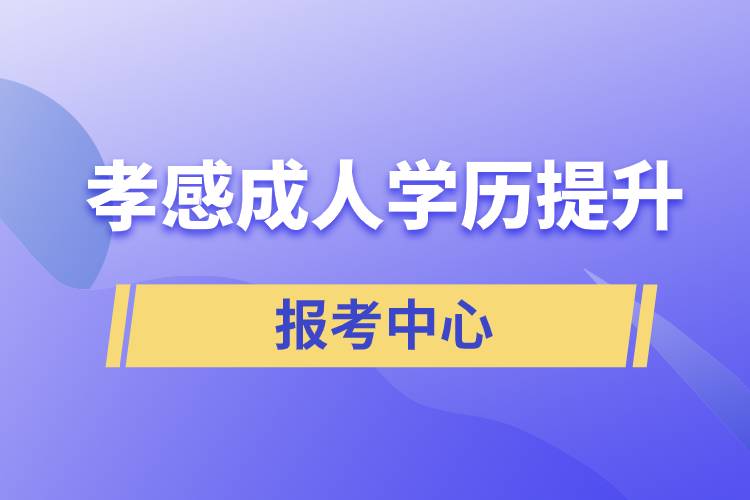 孝感有成人學歷提升報考中心嗎