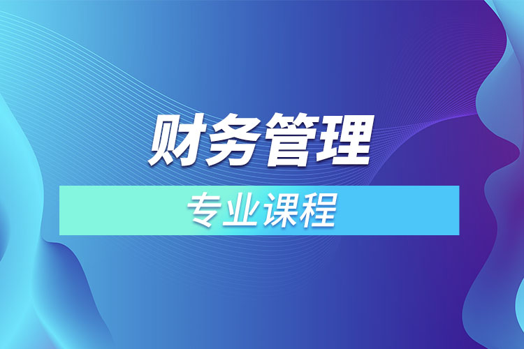 財(cái)務(wù)管理專業(yè)課程