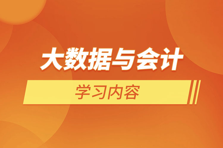 大數(shù)據(jù)與會計學習內容