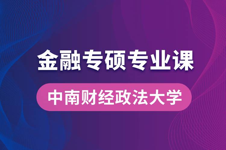 中南財(cái)經(jīng)政法大學(xué)金融專碩專業(yè)課