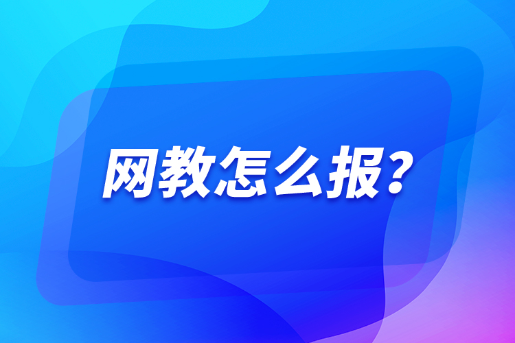 網(wǎng)教怎么報？