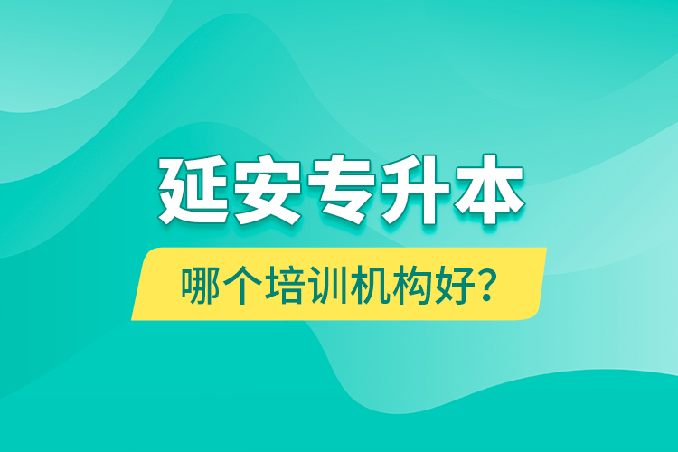 延安專升本哪個培訓機構好？