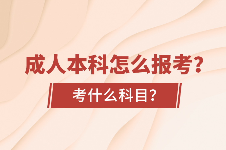 成人本科怎么報考？考什么科目？