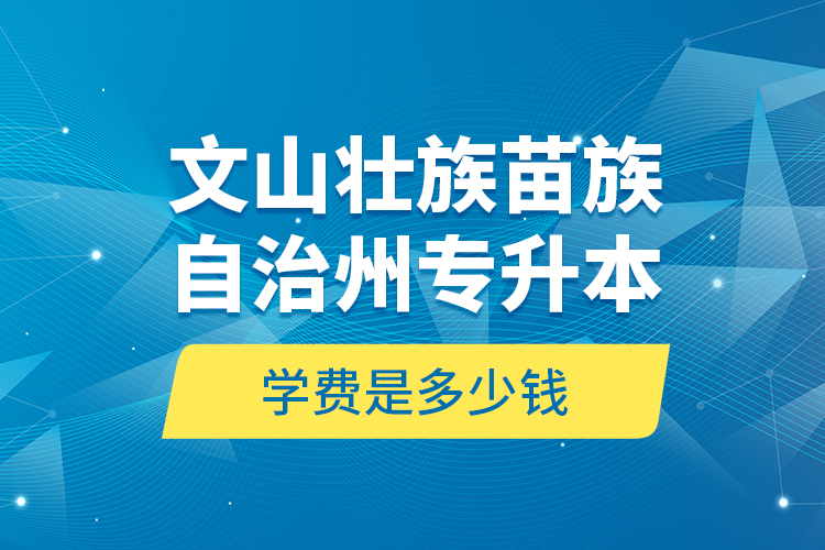 文山壯族苗族自治州專(zhuān)升本學(xué)費(fèi)是多少錢(qián)？