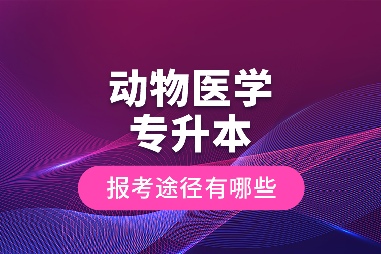 動物醫(yī)學(xué)專升本的報考途徑有哪些？