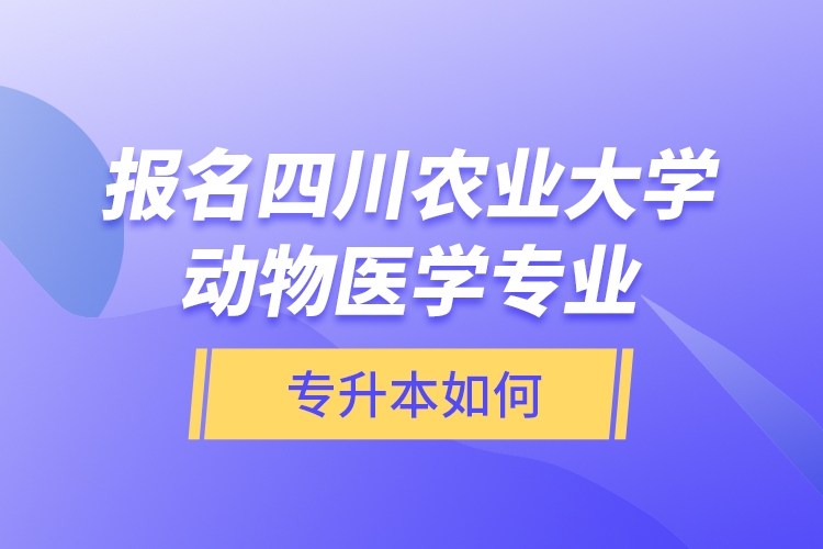 報(bào)名四川農(nóng)業(yè)大學(xué)動(dòng)物醫(yī)學(xué)專業(yè)專升本如何？