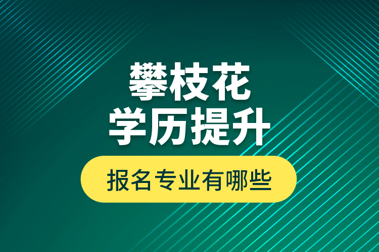 攀枝花學(xué)歷提升報名專業(yè)有哪些？