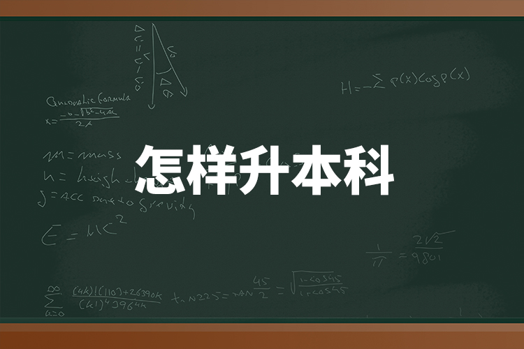 怎樣升本科？